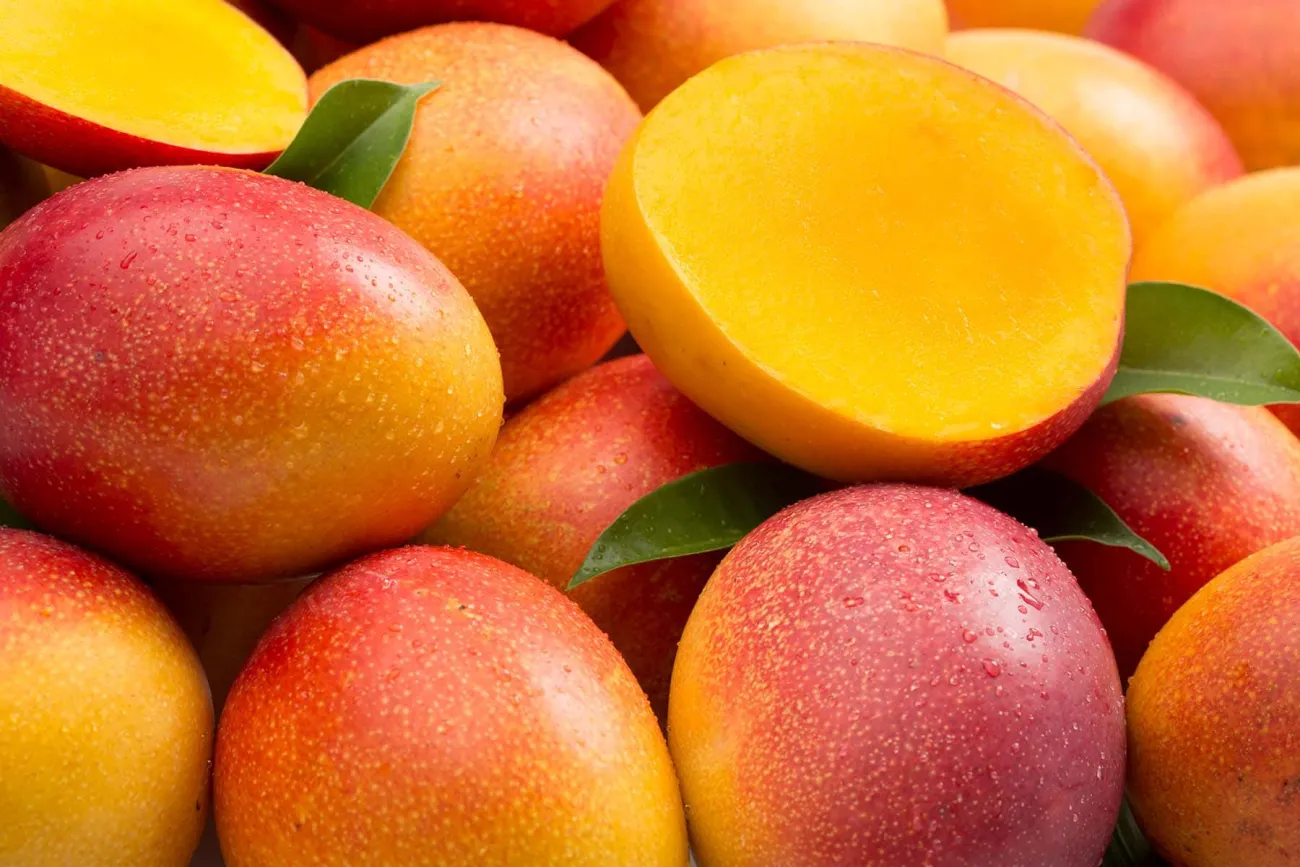 exportación mango a canada
