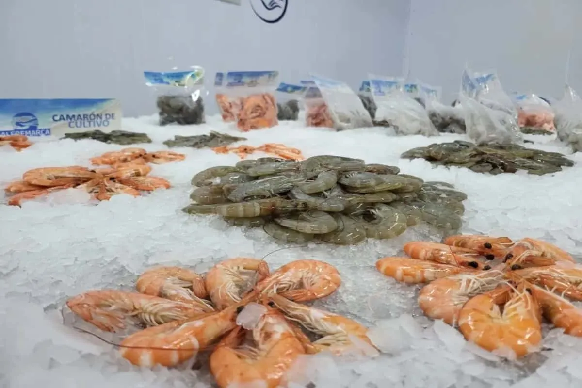 restricciones china camaron