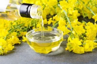 aceite de canola