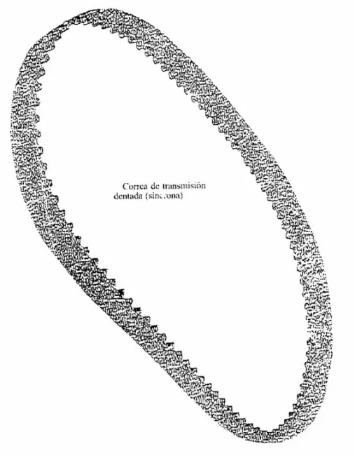 correa de transmisión dentada
