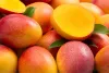 exportación mango a canada